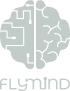 Flymind